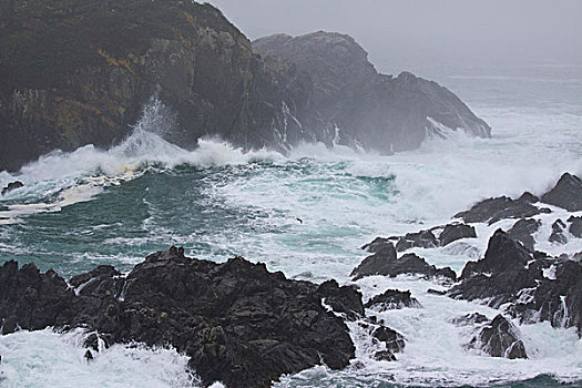 野外,碰撞,海浪,波浪,太平洋,小路,温哥华岛,不列颠哥伦比亚省