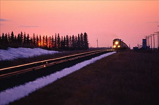 列车,日落,加拿大,草原
