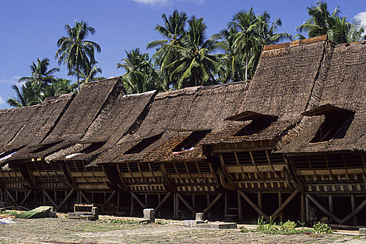 印度尼西亚,苏门答腊岛,岛屿,乡村,传统,房子