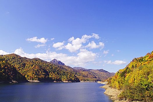 札幌,人工湖,清晰,秋天,天空