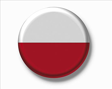 扣,徽章,旗帜,波兰
