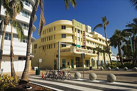 棕榈树,正面,建筑,迈阿密,佛罗里达,美国