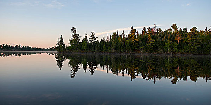 树,海岸线,反射,平和,湖,木,安大略省,加拿大