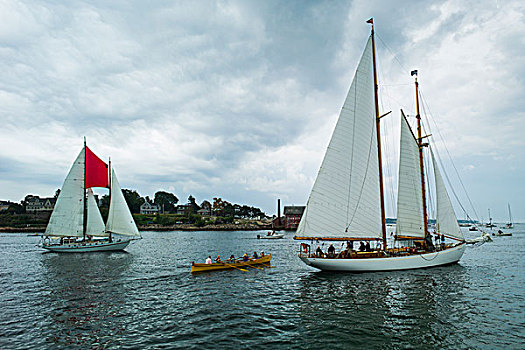 马萨诸塞,纵帆船,节日,帆船
