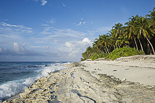 空,珊瑚,海滩,椰树,岛屿,印度洋,马尔代夫,亚洲