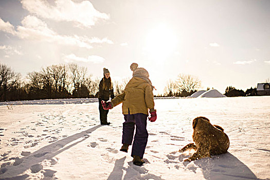 孩子,玩,金毛猎犬,安大略省,加拿大