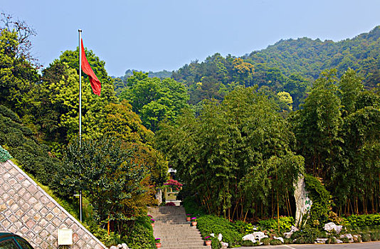 新西湖十景,龙井问茶