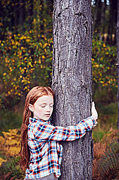 女孩,搂抱,树