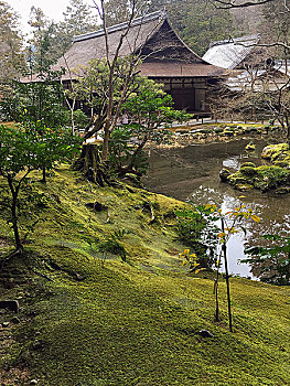 日本京都南禅寺庭院