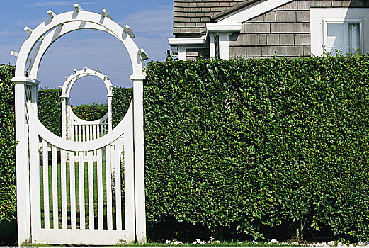 格架,树篱,楠塔基特岛,马萨诸塞,美国