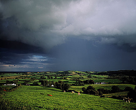 田园,风景,米斯郡,爱尔兰