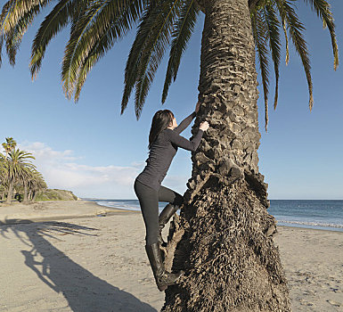 女人,攀登,棕榈树,海滩