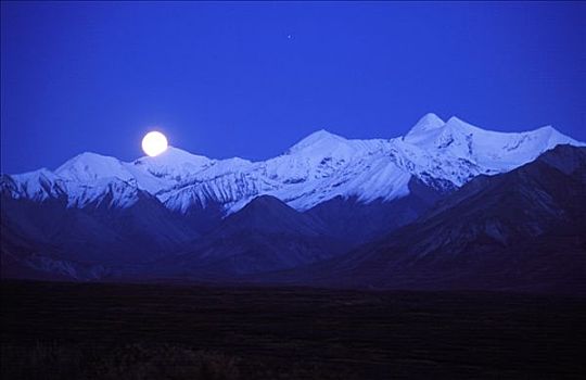 满月,上方,阿拉斯加,山脉,德纳里峰国家公园,美国