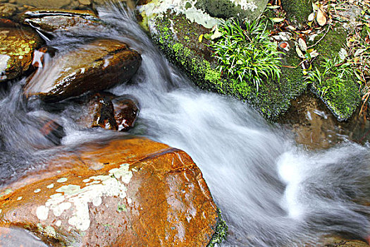 山中的溪水