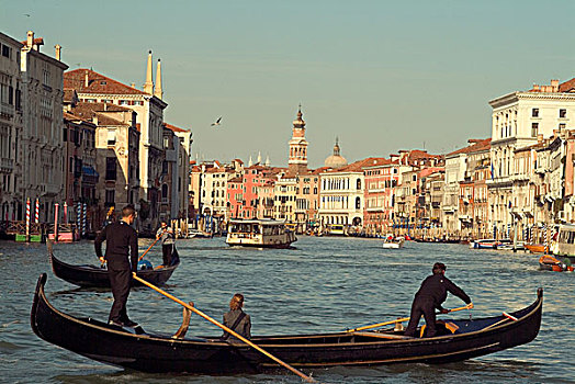 意大利,威尼斯,平底船夫,拿,乘客,运河