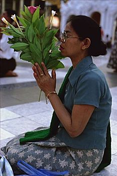 缅甸,仰光,女人,拿着,花,崇拜,瑞光大金塔