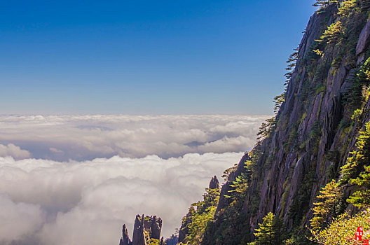 云海奇峰