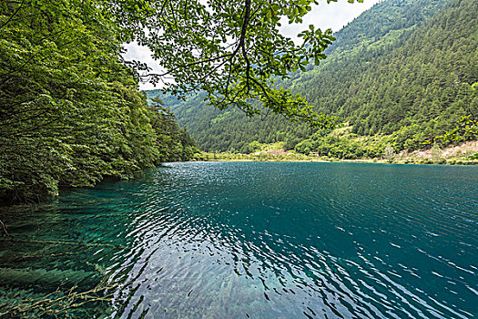 夏日九寨沟