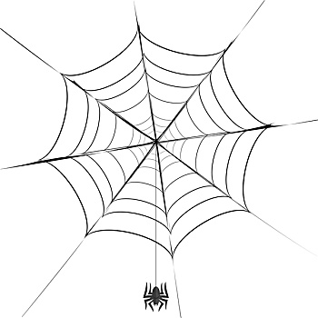 灰色,蜘蛛,蜘蛛网