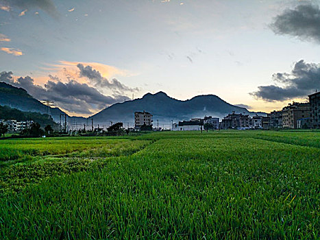 乐清雁荡山乡村田园