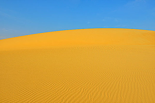 沙丘,利比亚沙漠,撒哈拉沙漠,埃及,非洲