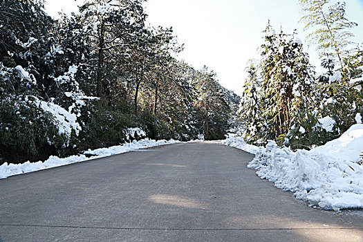 雪山道路