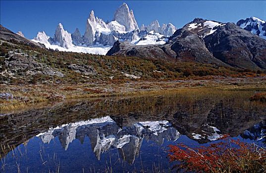 阿根廷,巴塔哥尼亚,尖顶,山,菲茨罗伊,反射,湖