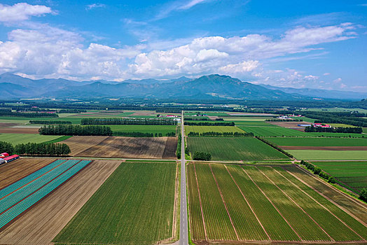 航拍,北海道,日本