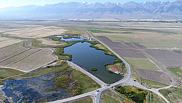高家湖湿地生态公园
