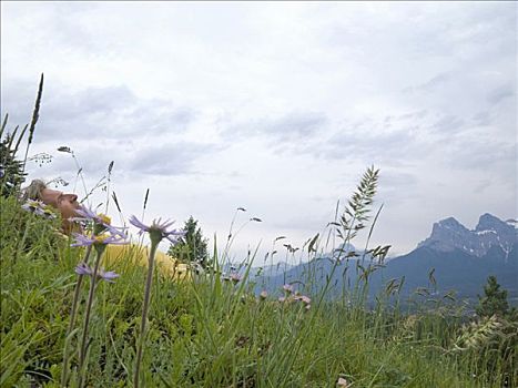男人,放松,花,阿尔卑斯草甸,三姐妹山,加拿大,艾伯塔省