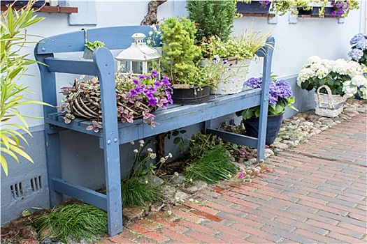 蓝色,园凳,正面,房子,花,装饰