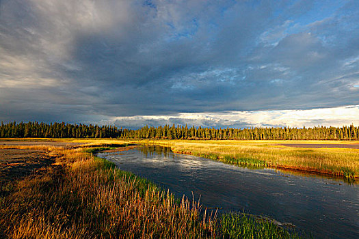 盐原,伍德布法罗国家公园,艾伯塔省,加拿大