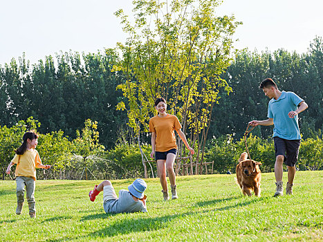 快乐的四口之家和宠物狗在公园玩耍