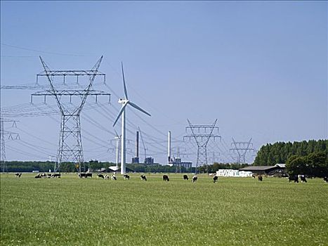 风电场,电线,弗莱福兰,荷兰