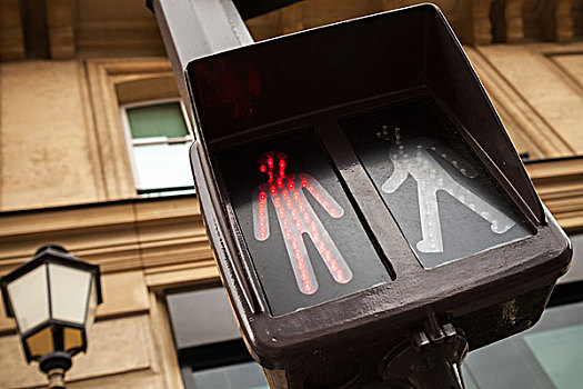 人行横道,红绿灯,展示,红色,停止,信号