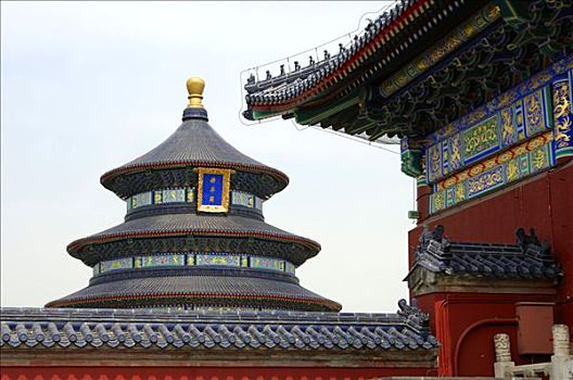 寺庙,祈年殿,收获,北京,中国