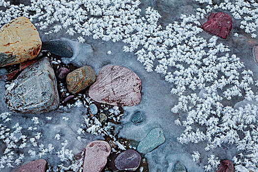 白霜,冰,水道,中间,河,冰川国家公园,蒙大拿