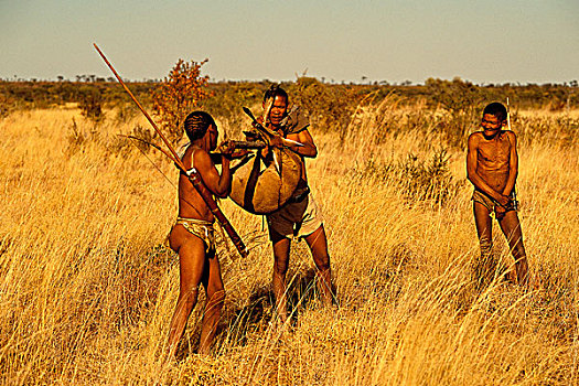 原住民,杀,博茨瓦纳,非洲
