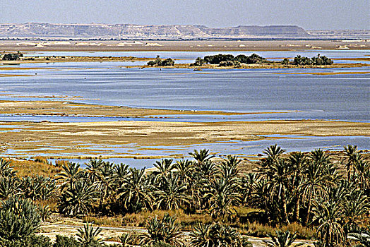 埃及,锡瓦绿洲