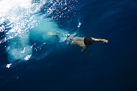 男孩,海中