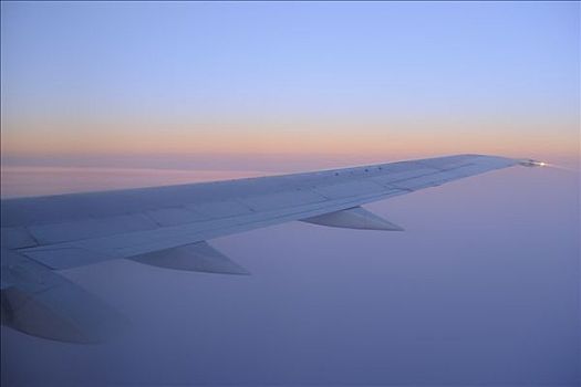 飞机,翼,日出,高处,布宜诺斯艾利斯,阿根廷
