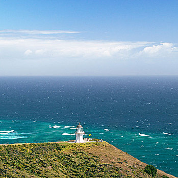 塔,海岸线,新西兰