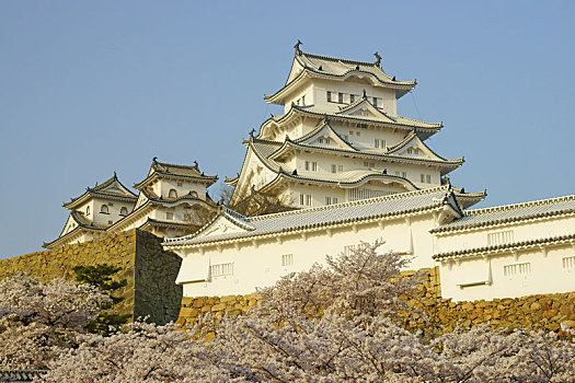 姬路城堡,春天,兵库,日本