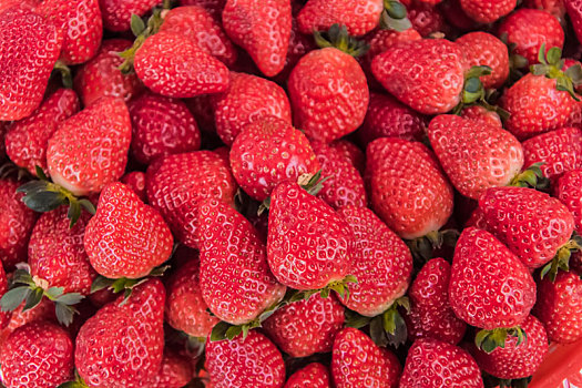 被子植物门蔷薇科生物草莓静物水果食品