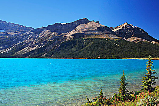 弓湖,山,住宿,背景,班芙国家公园,艾伯塔省,加拿大