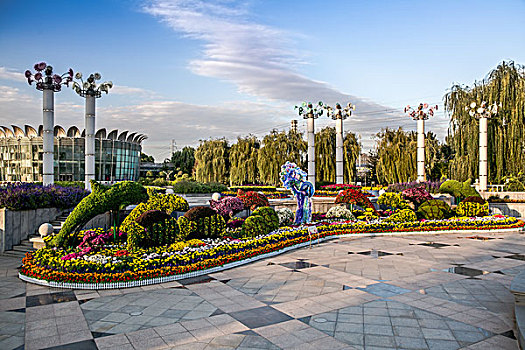 菊花展览,北京,世界花卉大观园,园林,园艺