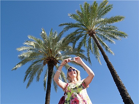 游客,照相,靠近,棕榈树
