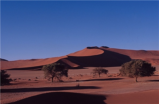 纳米比沙漠