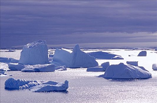 浮冰,水中,南极