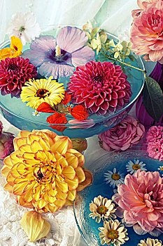 桌饰,色彩,花,水,碗